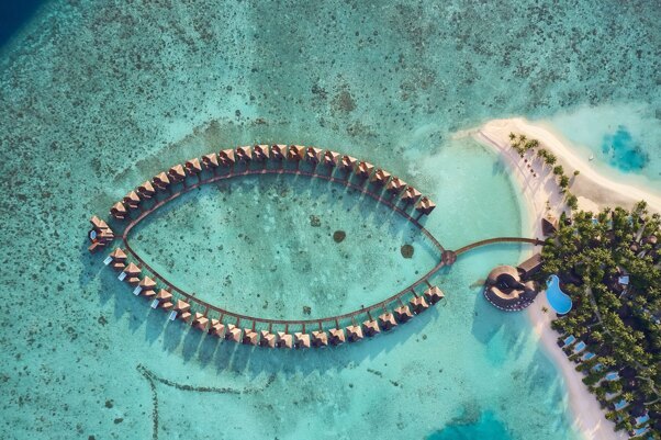 Sun Siyam Vilu Reef 5* (Даалу Атолл)
